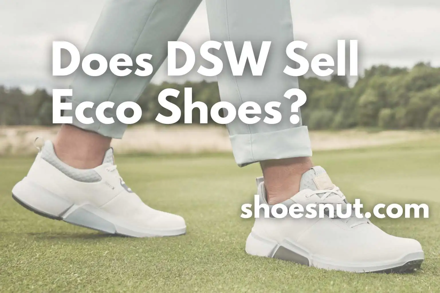 Does DSW Sell Ecco Shoes?