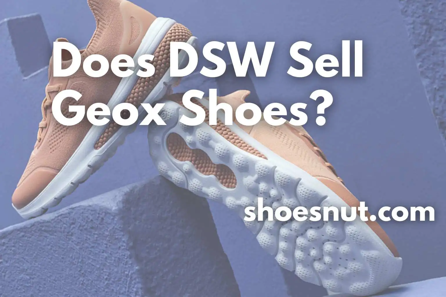 Does DSW Sell Geox Shoes?