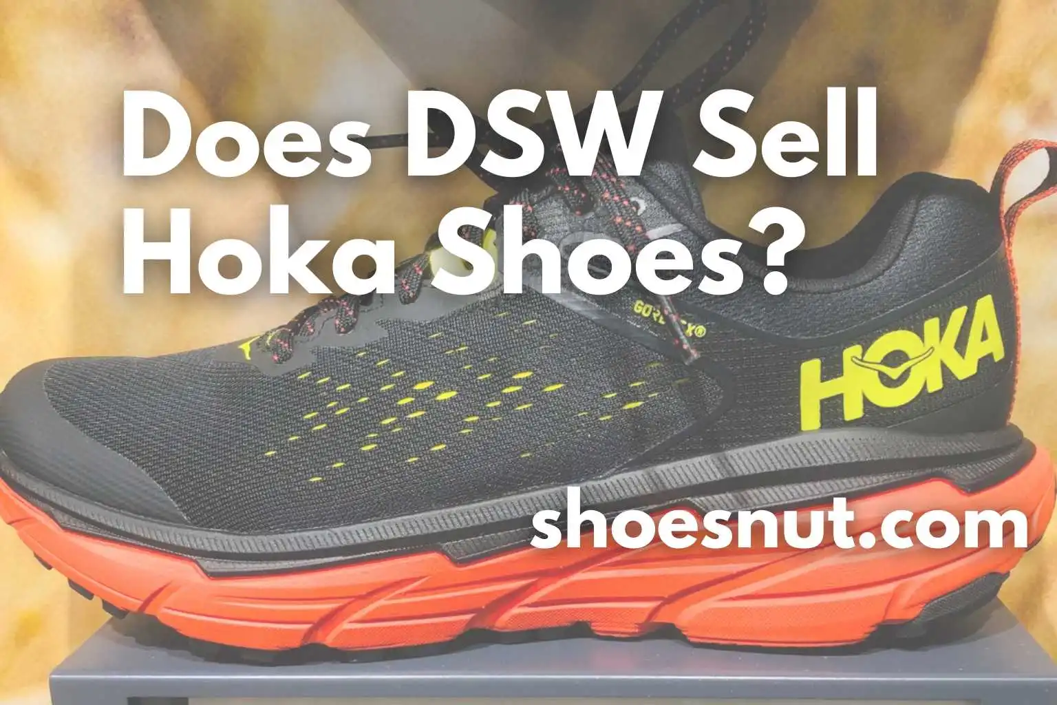 Does DSW Sell Hoka Shoes?
