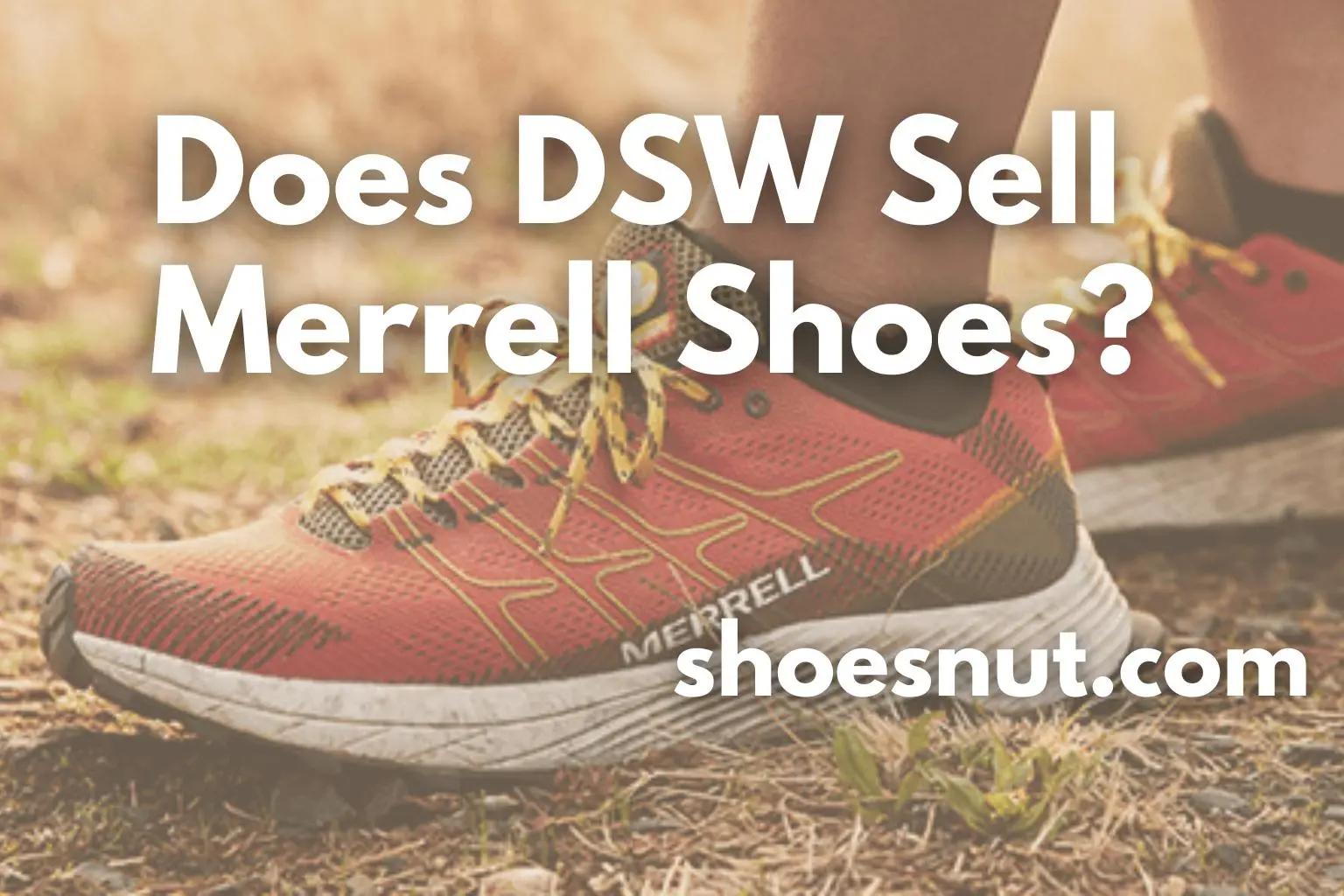 Does DSW Sell Merrell Shoes?