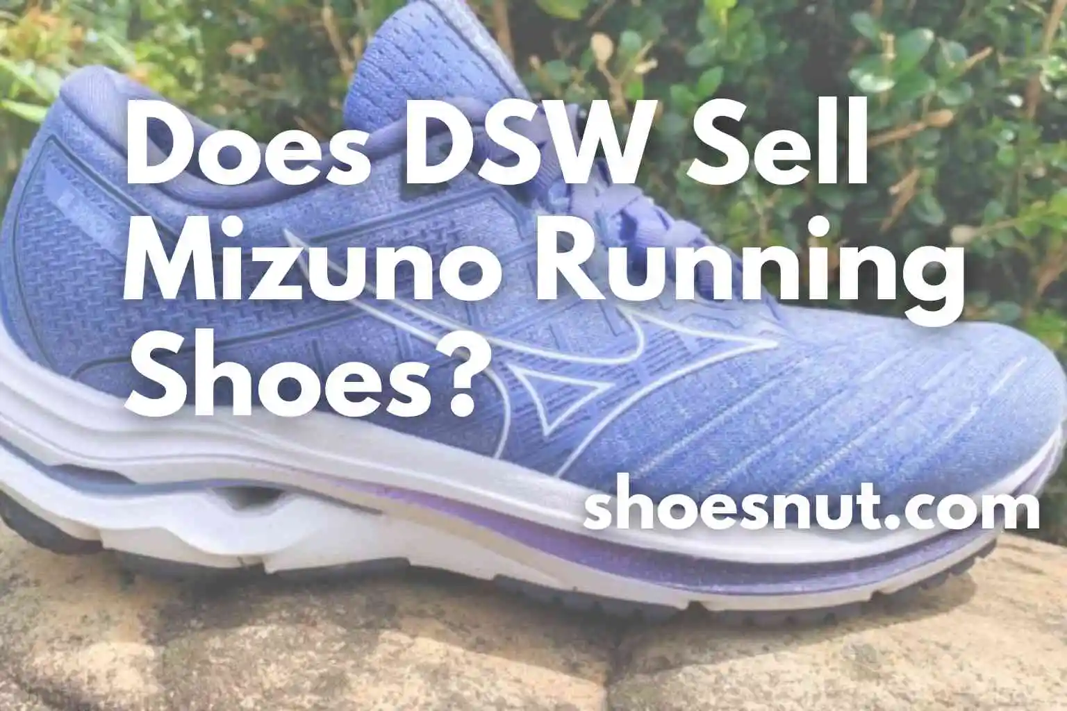 Does DSW Sell Mizuno Running Shoes?