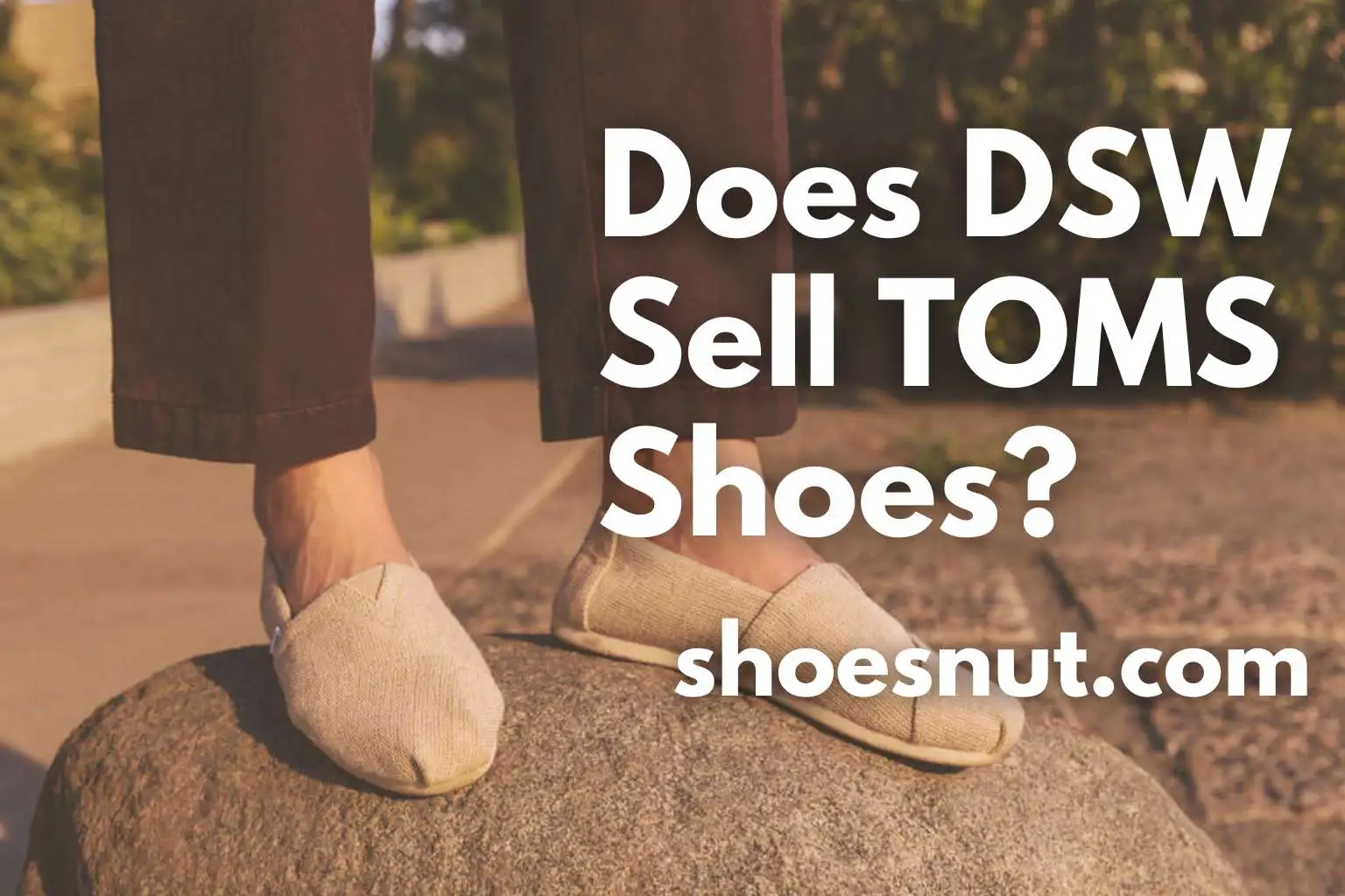 Does DSW Sell TOMS Shoes?