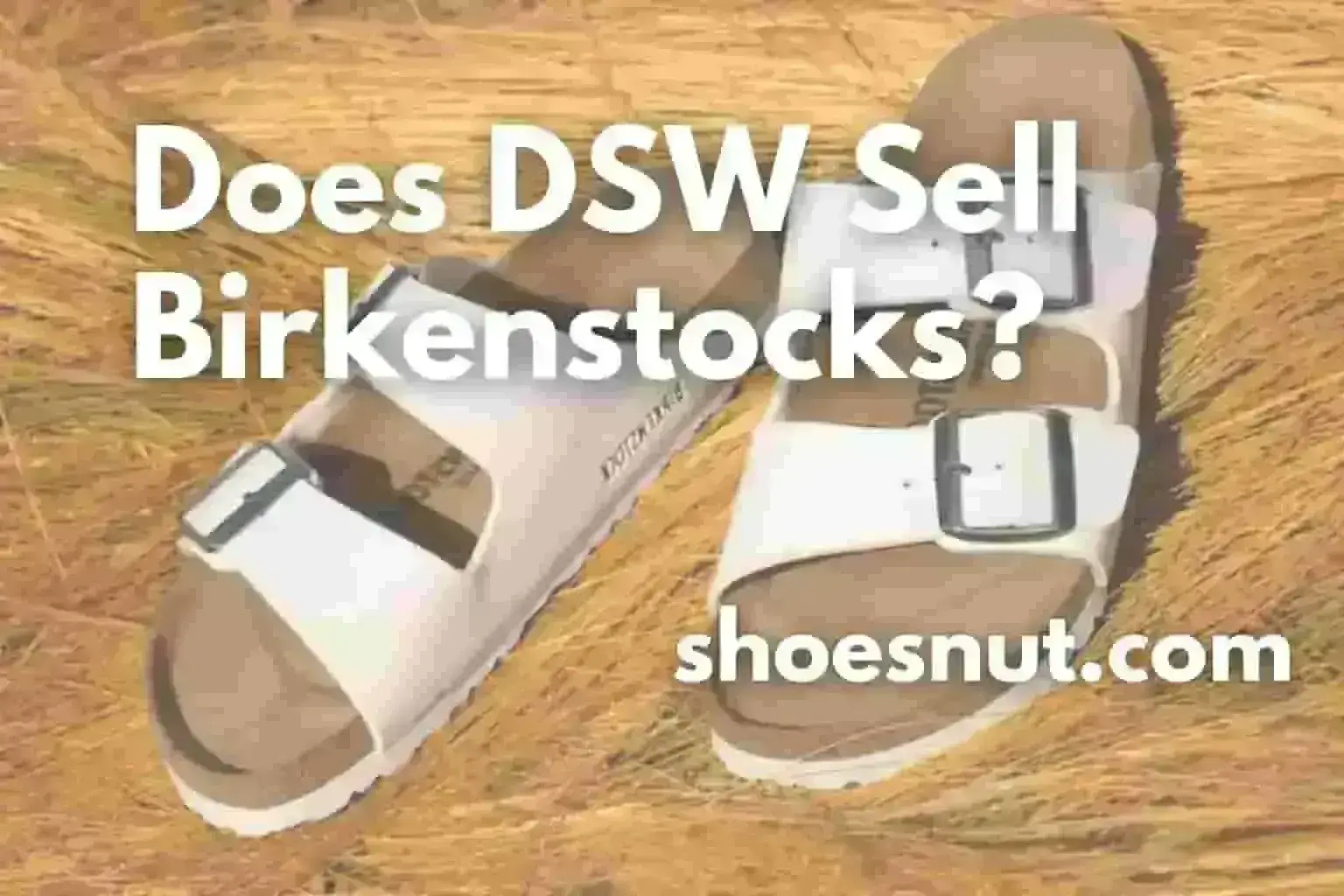 Does DSW Sell Birkenstocks?