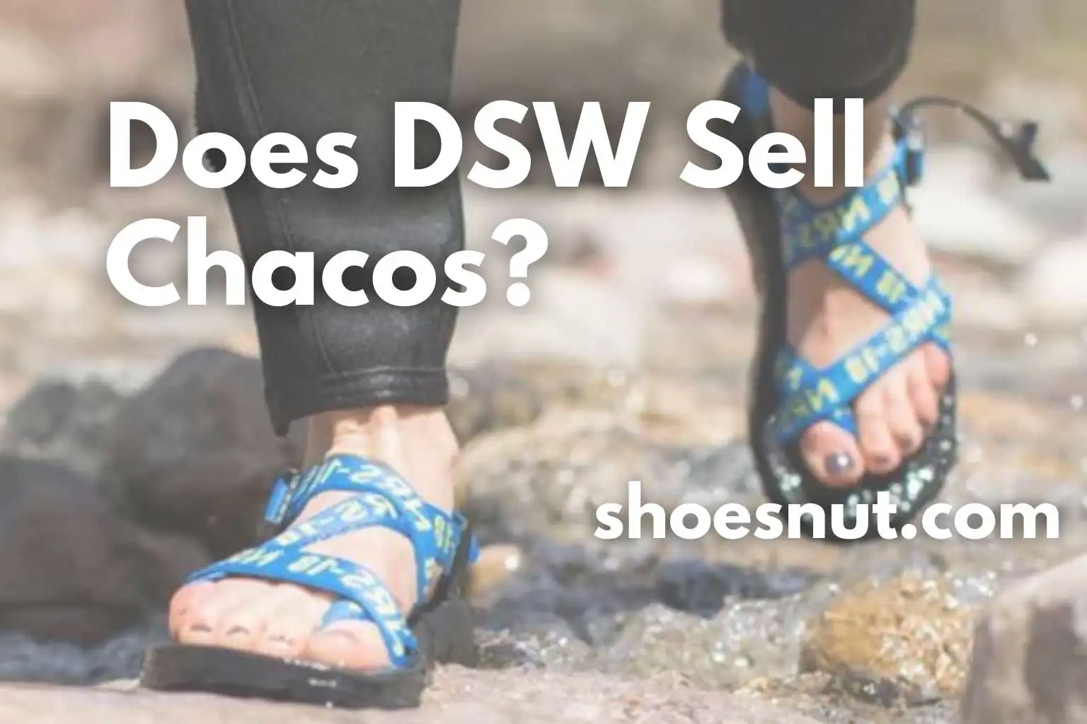 Does DSW Sell Chacos?
