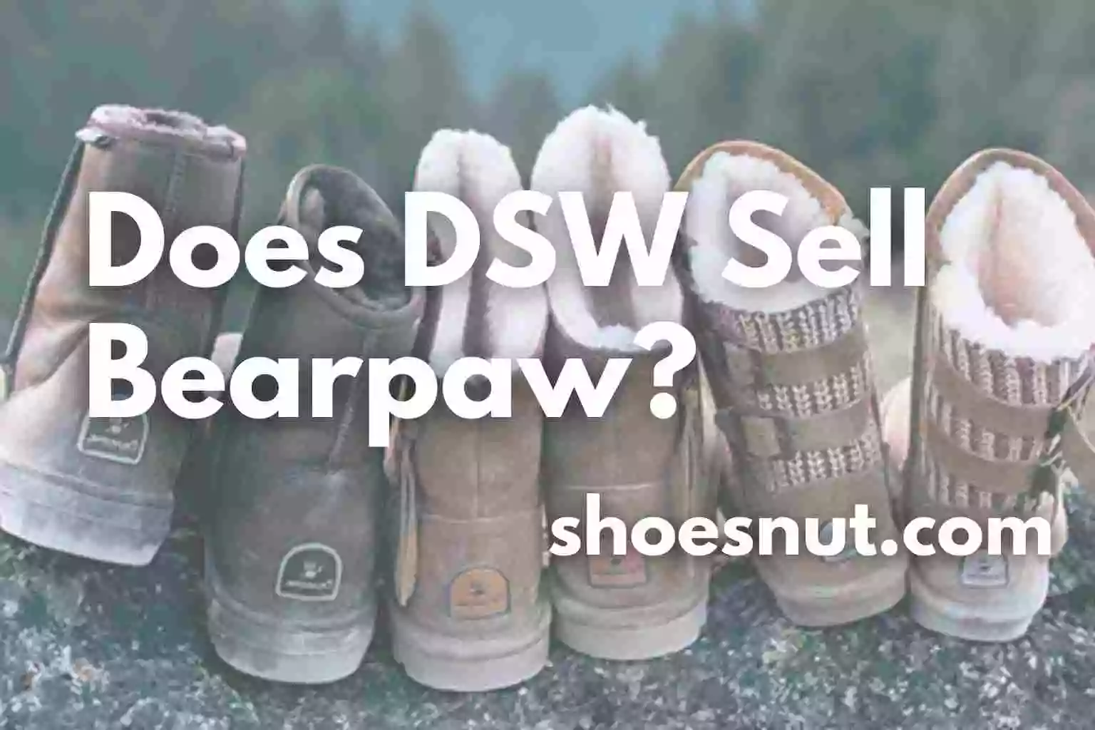 Does DSW Sell Bearpaw?
